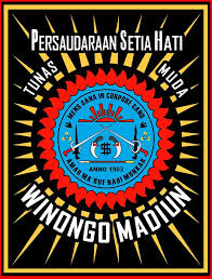 PSHW Logo